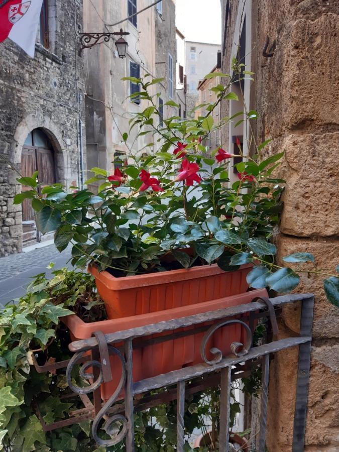 Historical Domus Apartment Anagni Exterior photo